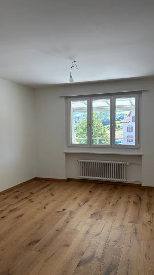 Komplett renovierte 4-Zimmer-Wohnung mit grossem Balkon