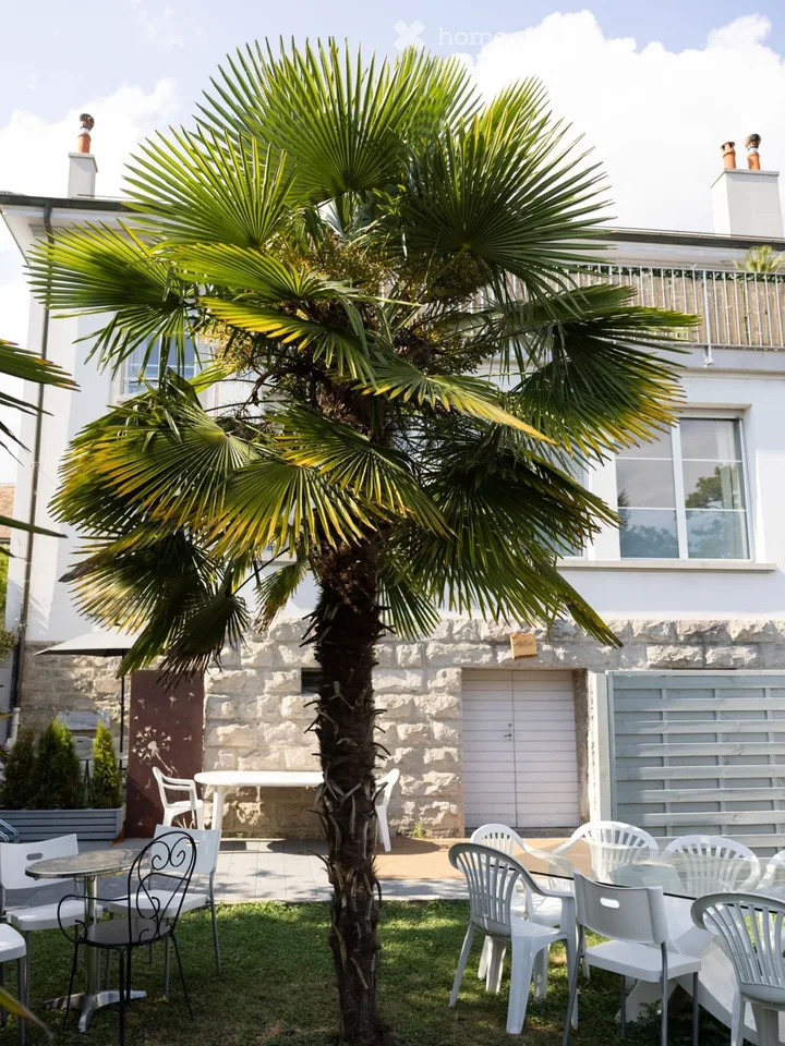Majestueuse villa de 12 pièces à Morges – Avenue des Pâquis