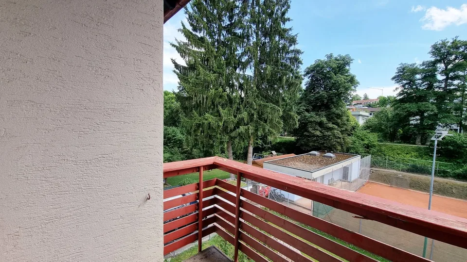 1.5-Room Apartment Seeking Long-Term Relationship with Single
