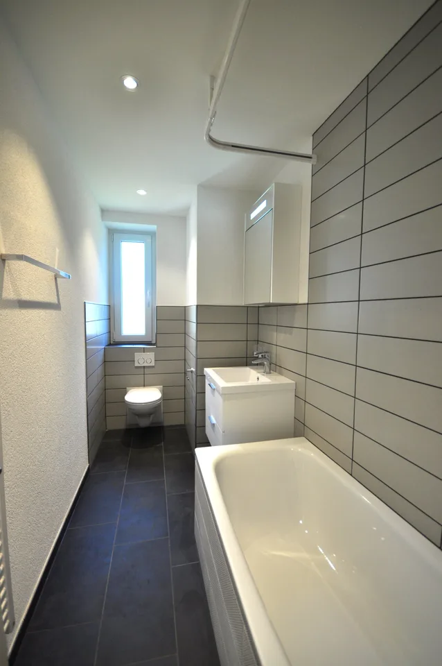 1.5-Room Apartment Seeking Long-Term Relationship with Single