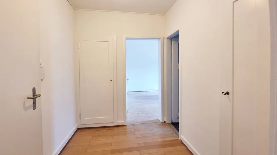 1.5-Room Apartment Seeking Long-Term Relationship with Single