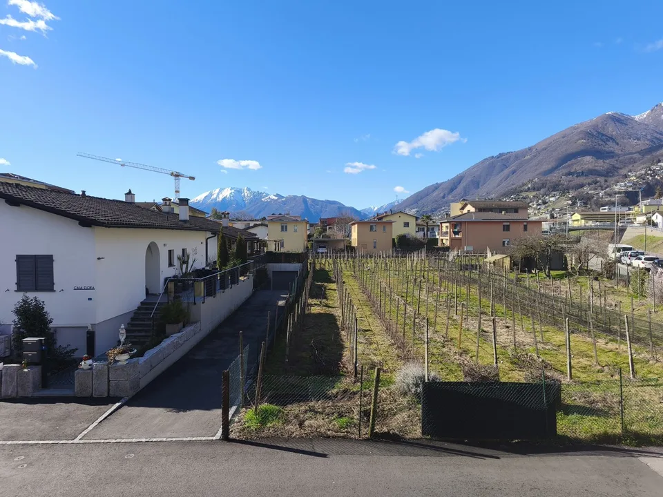 Luminoso 2,5 con terrazzo abitabile in tranquilla zona verde