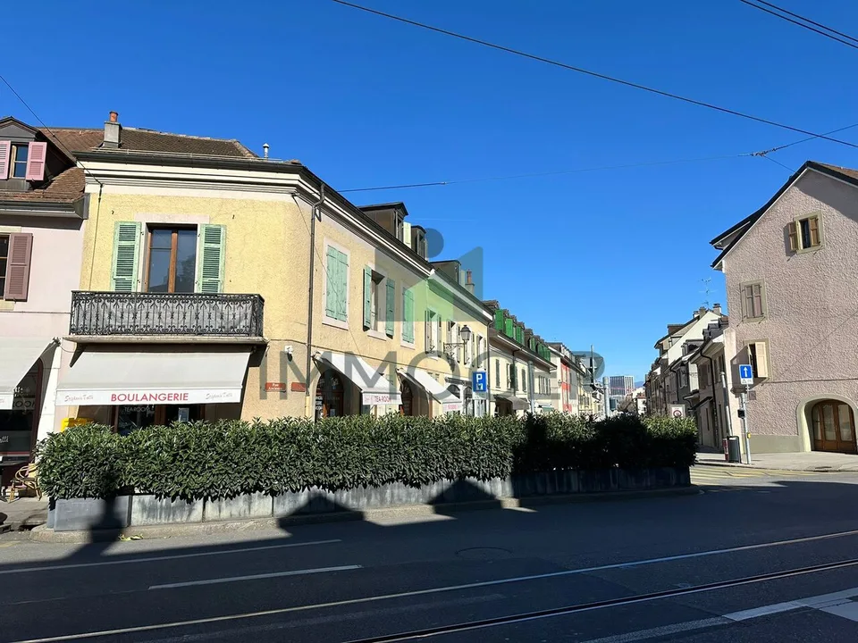 ESCLUSIVO E RARO: PICCOLO EDIFICIO MISTO NEL VECCHIO CAROUGE