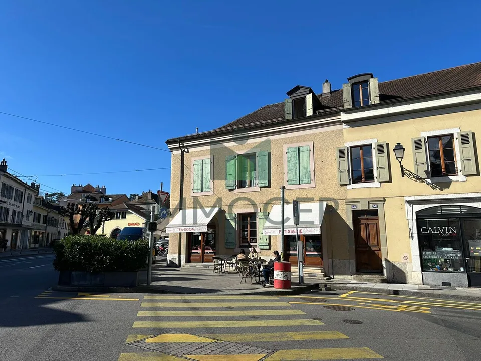 ESCLUSIVO E RARO: PICCOLO EDIFICIO MISTO NEL VECCHIO CAROUGE