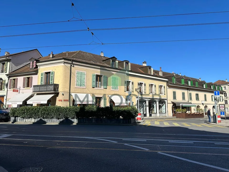 EXCLUSIF ET RARE : PETIT IMMEUBLE MIXTE DANS LE VIEUX CAROUGE