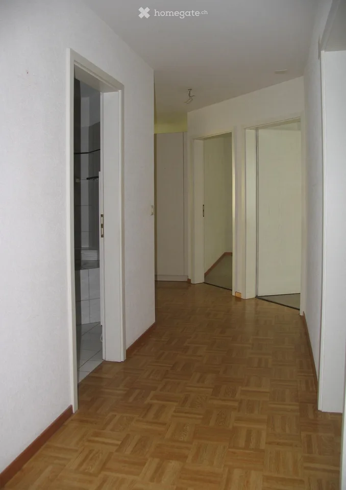 Charmant appartement 4.5 pièces avec balcon et garage à Winterthur - Seen