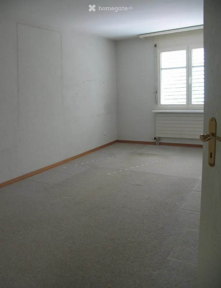 Charmant appartement 4.5 pièces avec balcon et garage à Winterthur - Seen