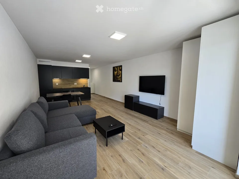 Grand studio neuf, meublé et équipé de 40 m² - 1908 Riddes