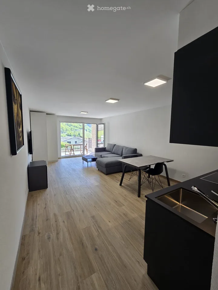 Grand studio neuf, meublé et équipé de 40 m² - 1908 Riddes