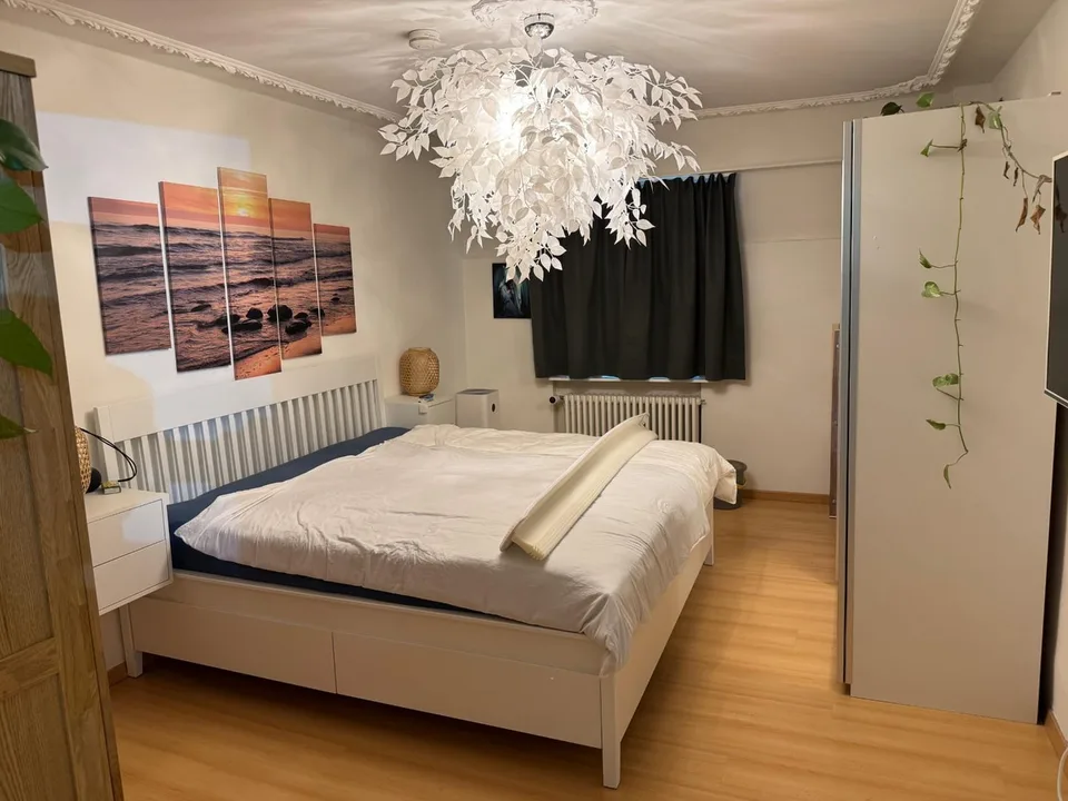 Affascinante appartamento di 3 locali a Soletta – disponibile dal 01.10.2026 – foto 4 di 4