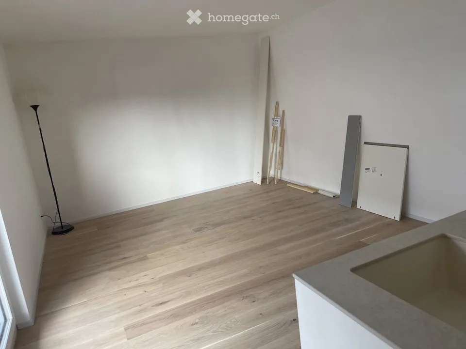 Newly Renovated, Bright Studio  Seefeld Tiefenbrunnen