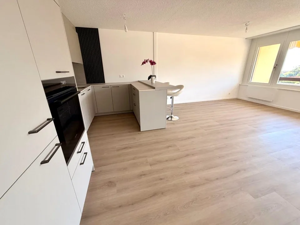 Beautiful family apartment in a well-maintained condominium in Tolochenaz