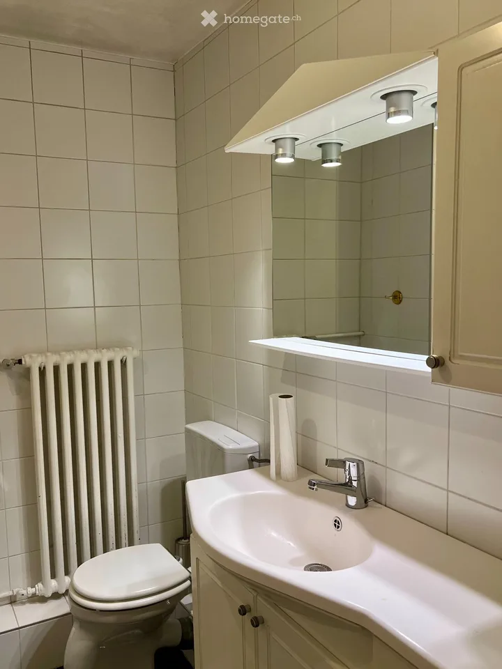 Appt caractère 150 m2 avec terrasse/vue lac unique -6-8 mois