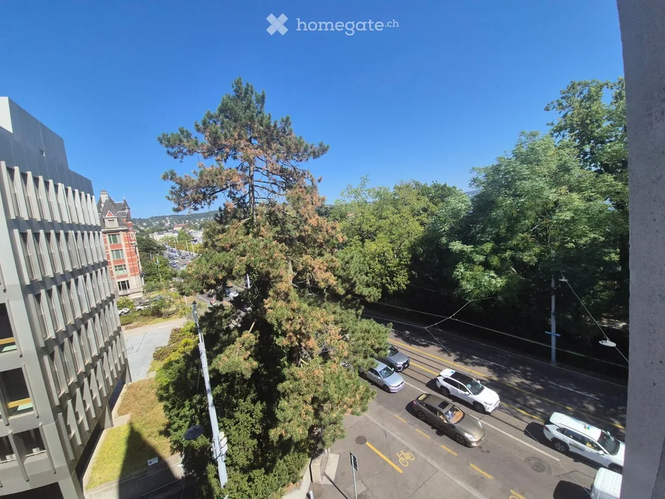 Repräsentatives Büro mit Terrasse im Weissen Schloss – Zürich Seefeld/Enge, ab sofort