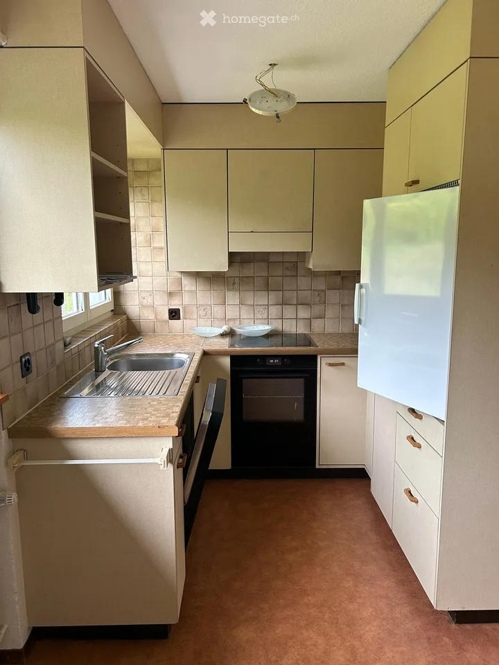 4.5-room apartment in Ehrendingen