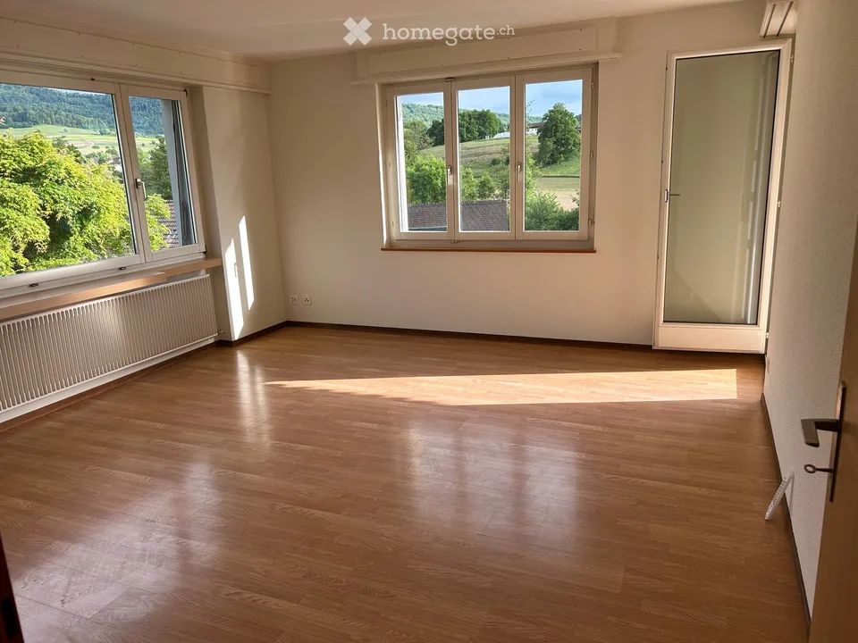 4.5-Zimmer-Wohnung in Ehrendingen