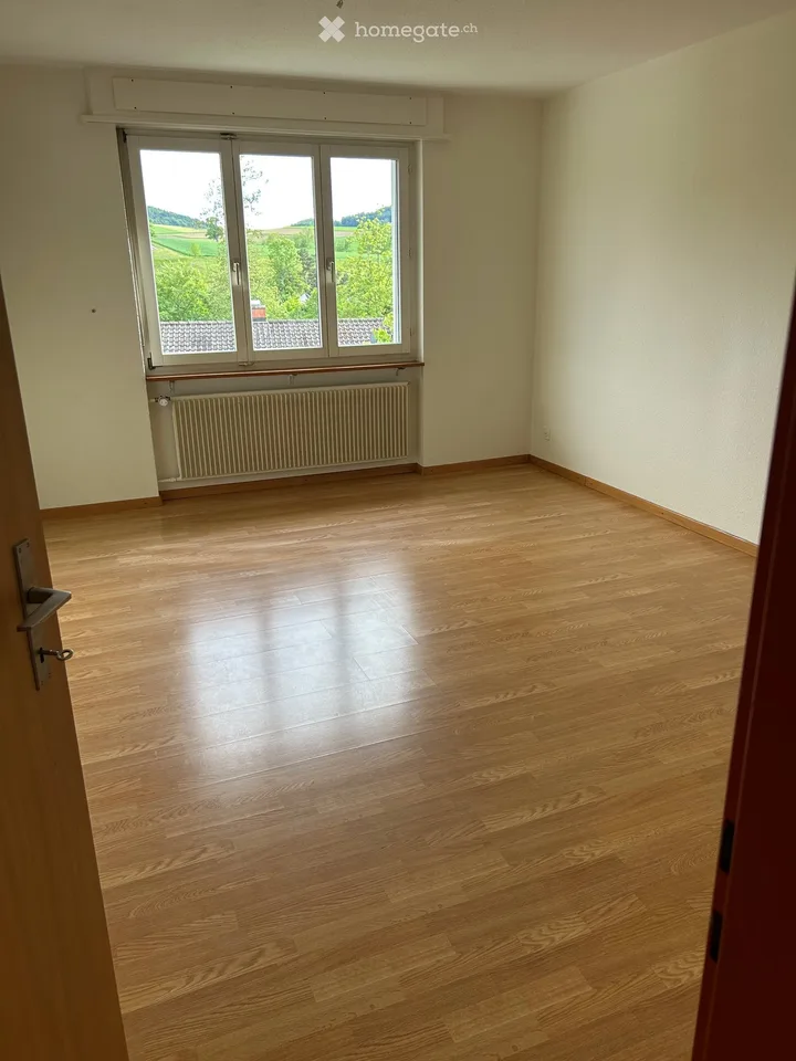 4.5-room apartment in Ehrendingen