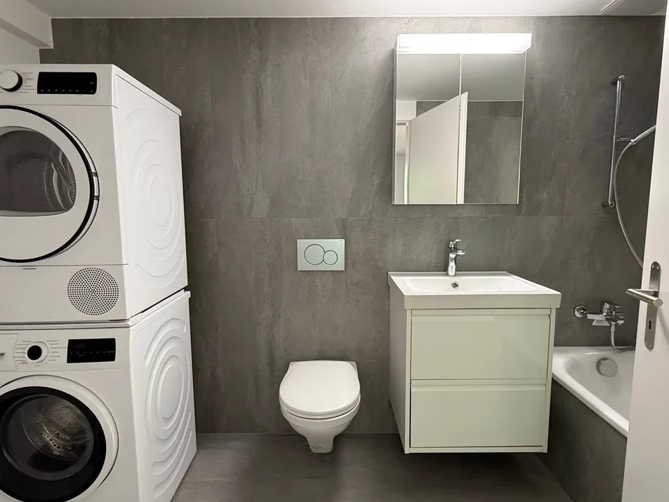 First-time rental of a centrally located 2-room apartment