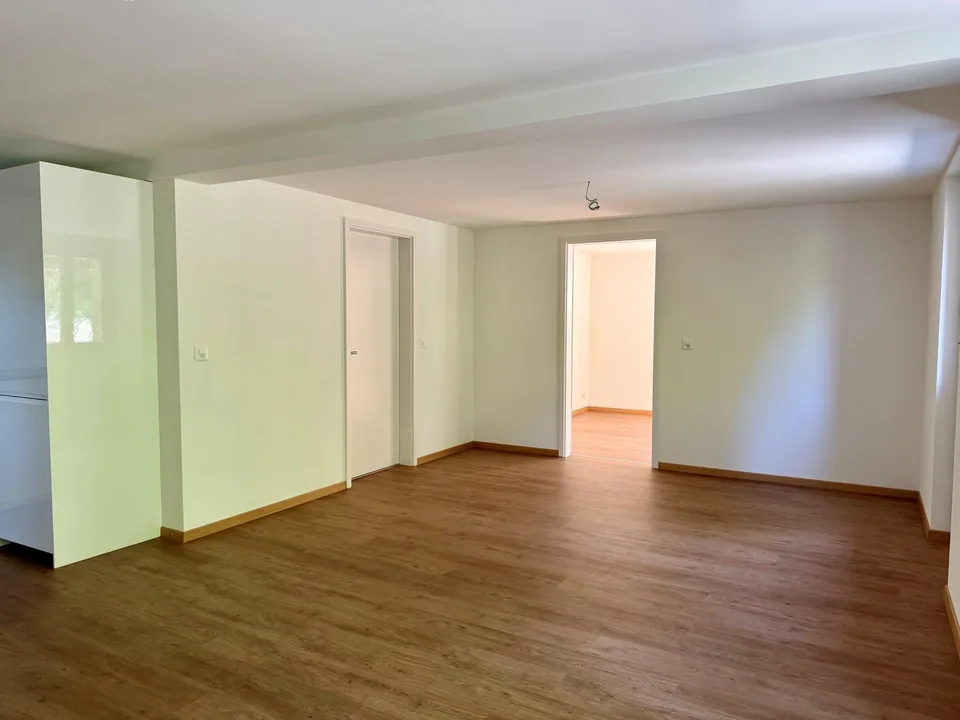 First-time rental of a centrally located 2-room apartment