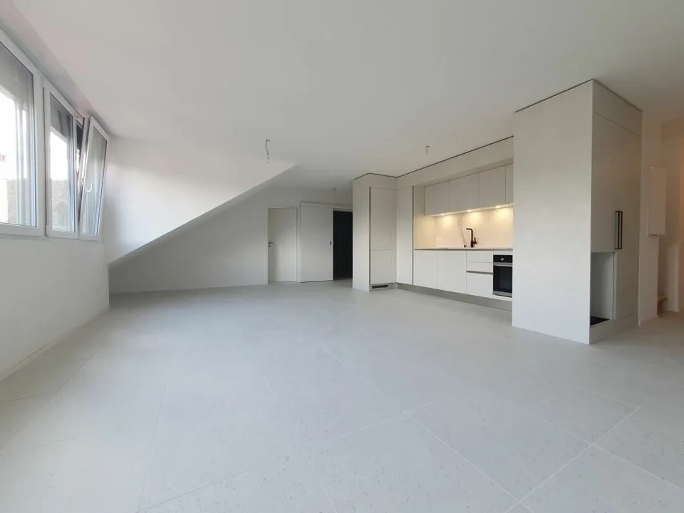 Appartement de 2,5 pièces + espace sous comble