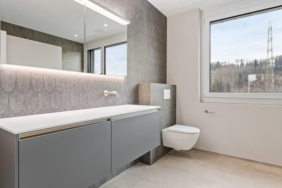 245 m² pour les entreprises et le style de vie – Attique à Bremgarten