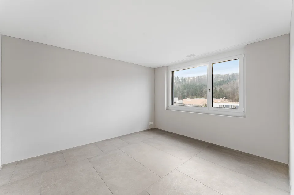 245 m² pour les entreprises et le style de vie – Attique à Bremgarten