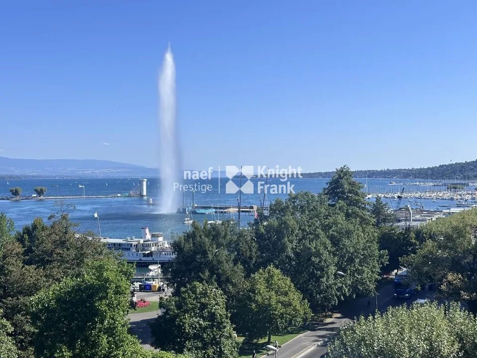 Appartement de charme - entièrement rénové - dans l'hypercentre avec vue jet d'eau