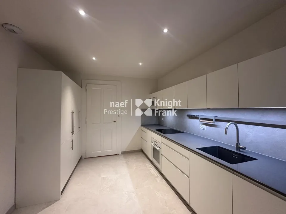 Appartement de charme - entièrement rénové - dans l'hypercentre avec vue jet d'eau