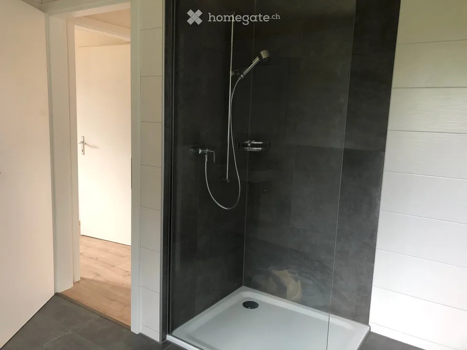2.5-Zimmer-Wohnung in Frutigen ab November