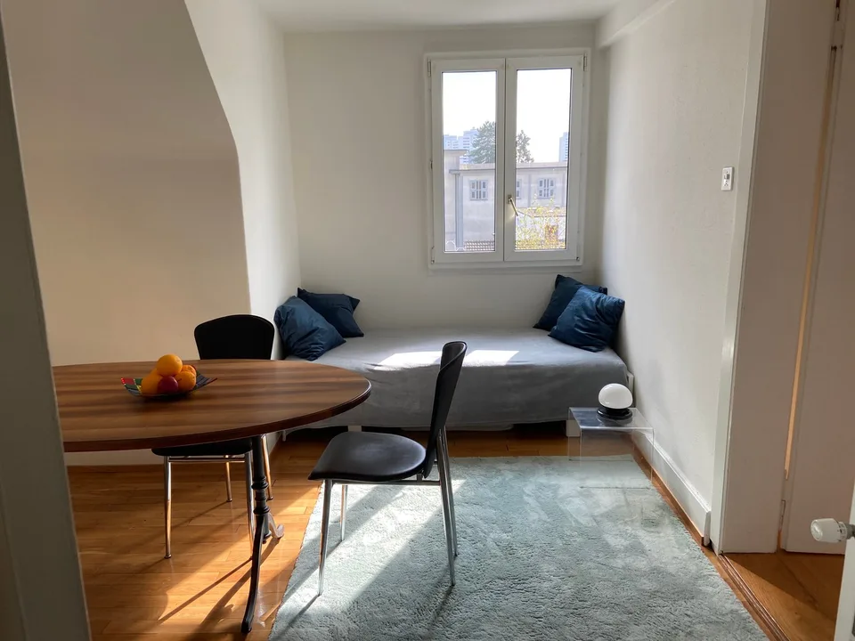Appartement mansardé de 2 pièces meublé - idéal pour les célibataires