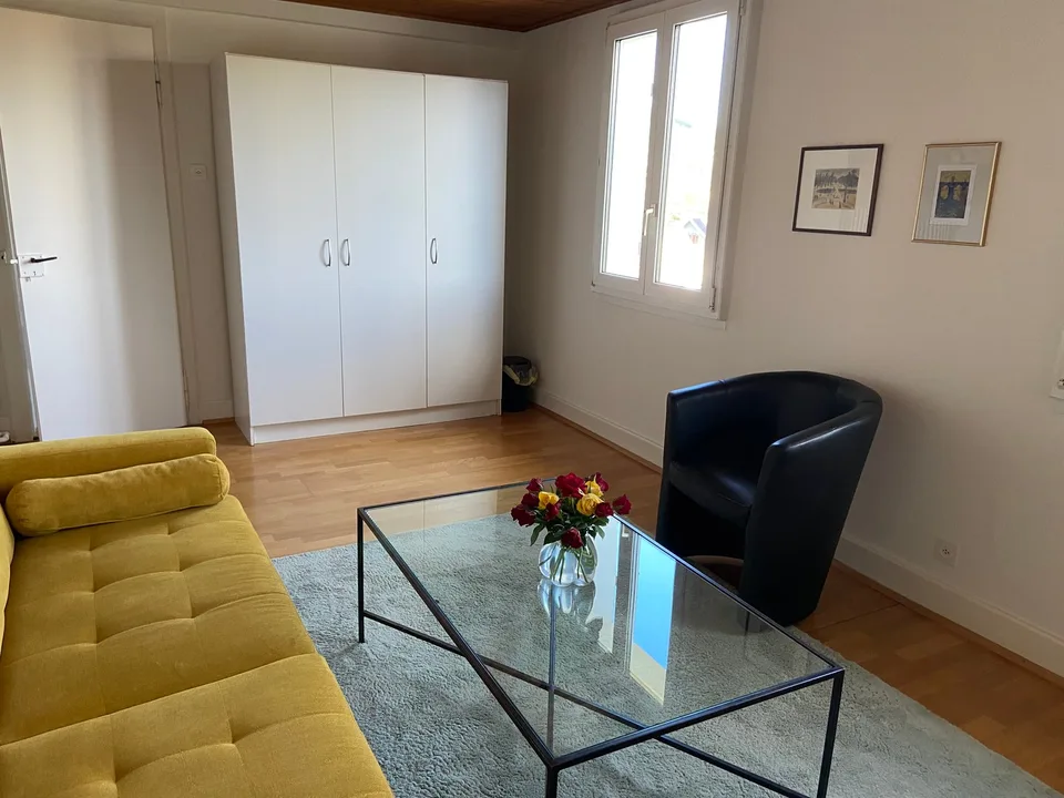 Appartement mansardé de 2 pièces meublé - idéal pour les célibataires