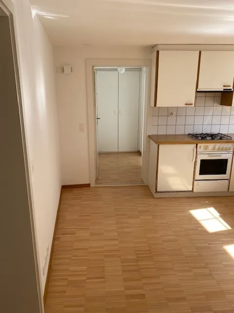 Affascinante appartamento di 2,5 locali a Wädenswil – edificio vecchio, ben mantenuto e situato in zona tranquilla