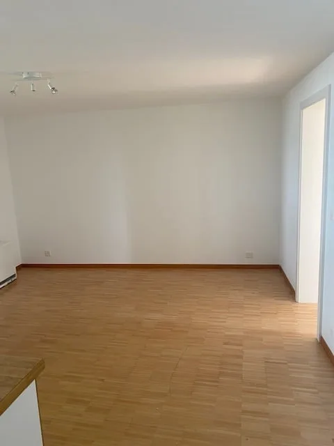 Affascinante appartamento di 2,5 locali a Wädenswil – edificio vecchio, ben mantenuto e situato in zona tranquilla