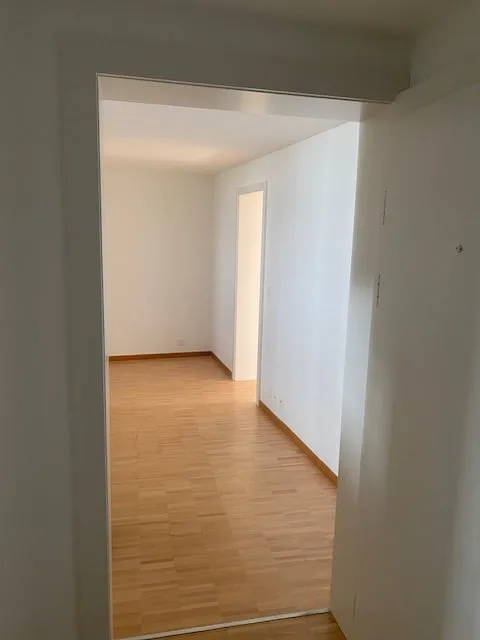 Affascinante appartamento di 2,5 locali a Wädenswil – edificio vecchio, ben mantenuto e situato in zona tranquilla