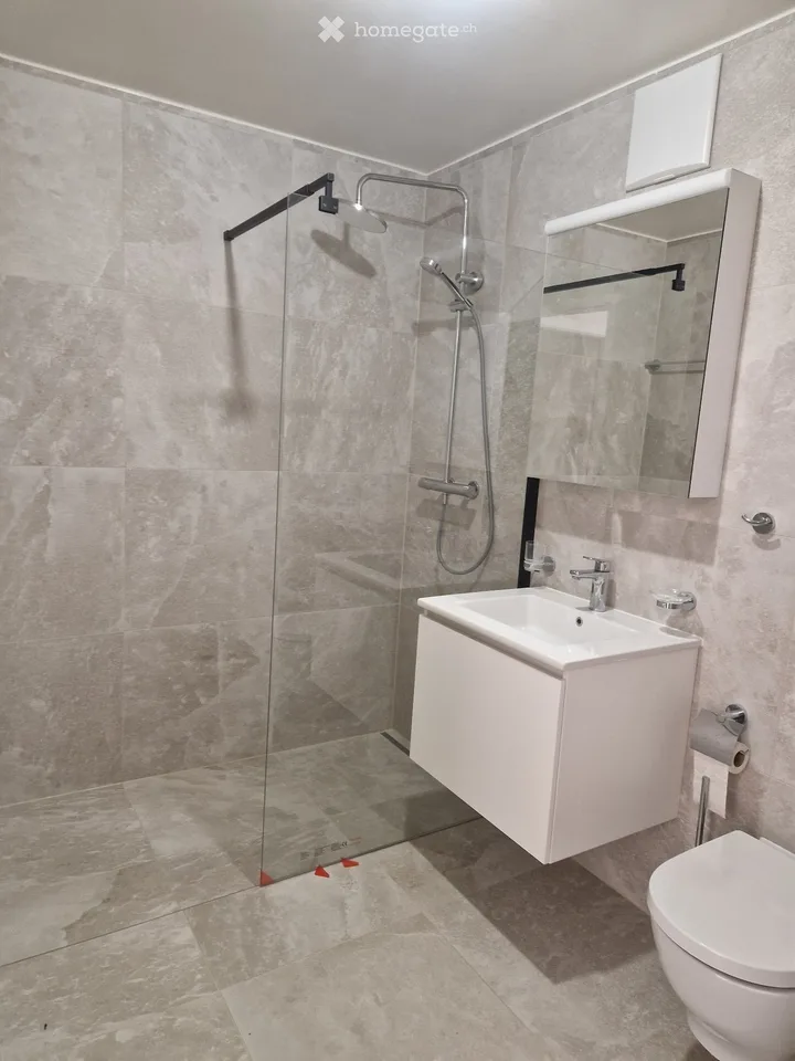Zu vermieten: neues 2,5-Zimmer-Apartment