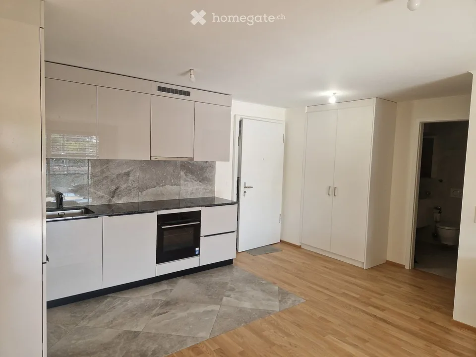 Zu vermieten: neues 2,5-Zimmer-Apartment