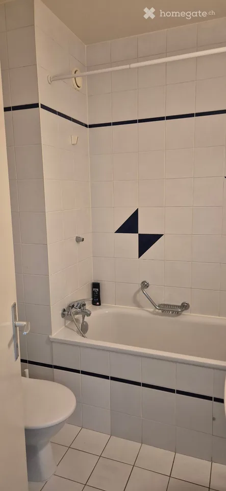 Übernahme Mietvertrag 1.5-Zimmer-Wohnung