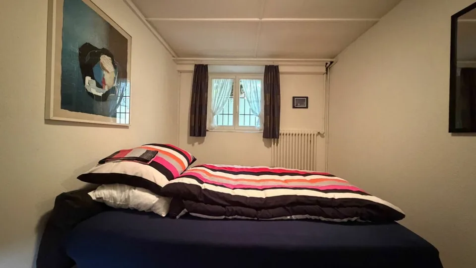House with 6.5-room maisonette and rented 3-room apartment