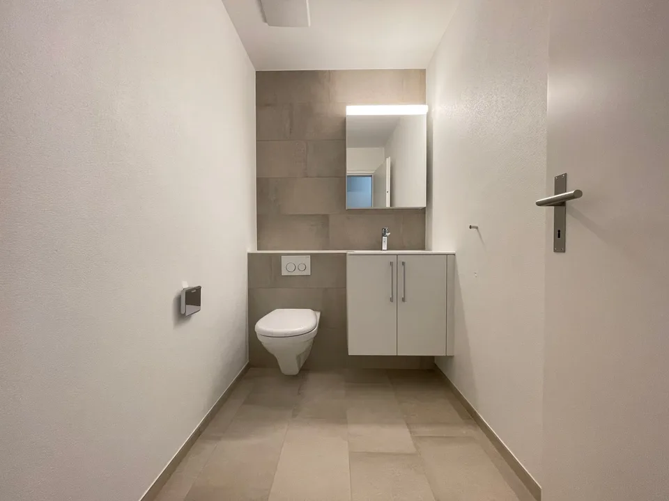 Vivere all'insegna del moderno sulla Birs? La tua nuova casa a Münchenstein!