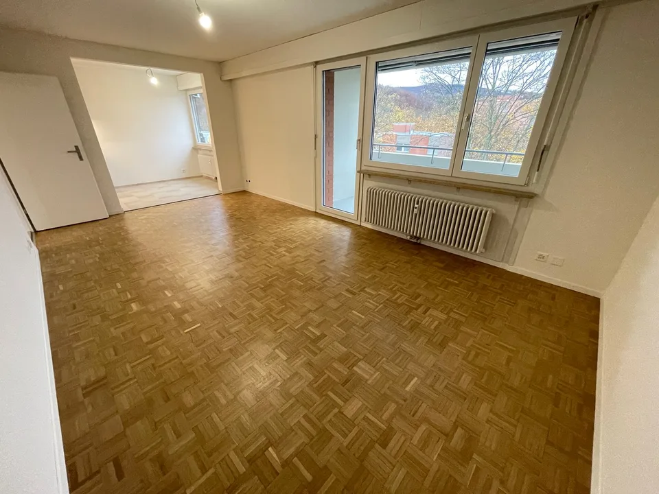 Vivere all'insegna del moderno sulla Birs? La tua nuova casa a Münchenstein!
