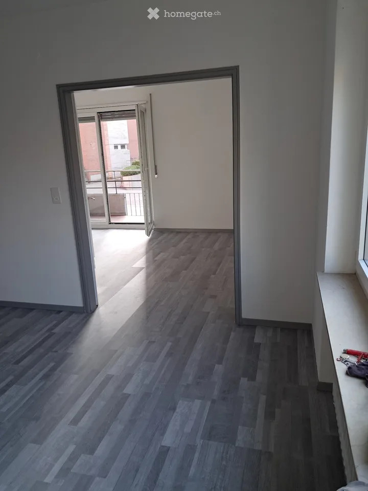 Two-room apartment in Viganello