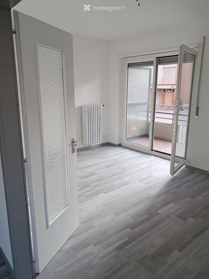 Two-room apartment in Viganello