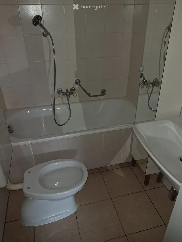 Two-room apartment in Viganello