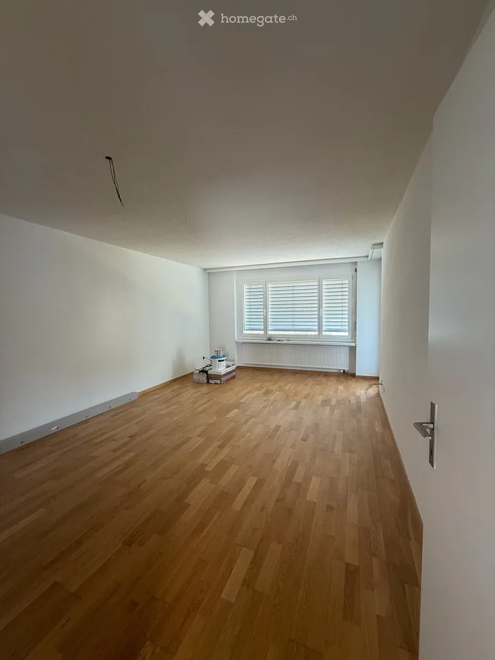 Prima locazione dopo ristrutturazione – appartamento 2.5 locali moderno con balcone