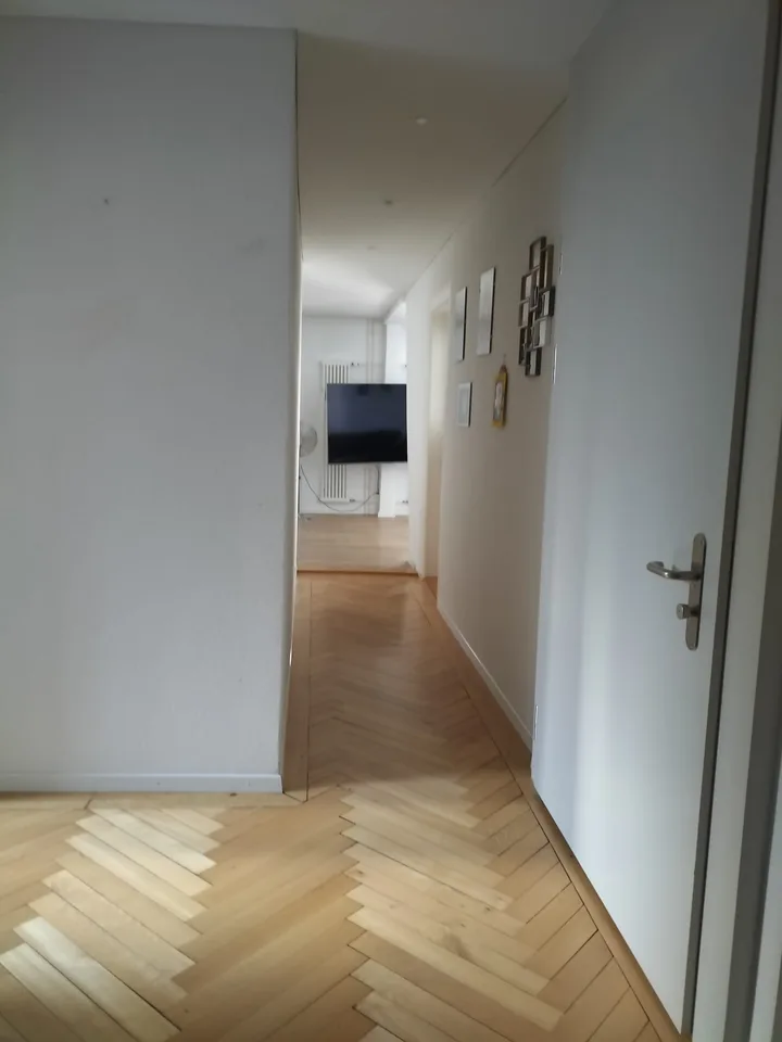 Appartement de charme de 4 pièces dans un immeuble ancien avec vue sur le lac