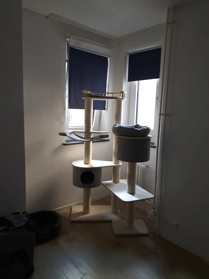 Appartement de charme de 4 pièces dans un immeuble ancien avec vue sur le lac