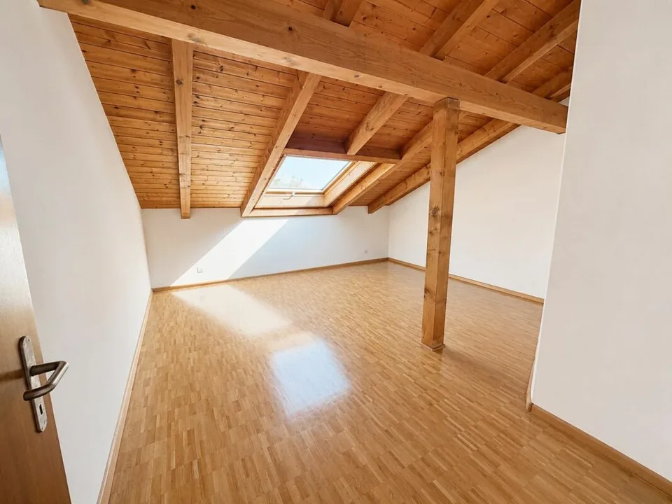 Ampio appartamento di 3 locali in mansarda con torre di lavaggio privata