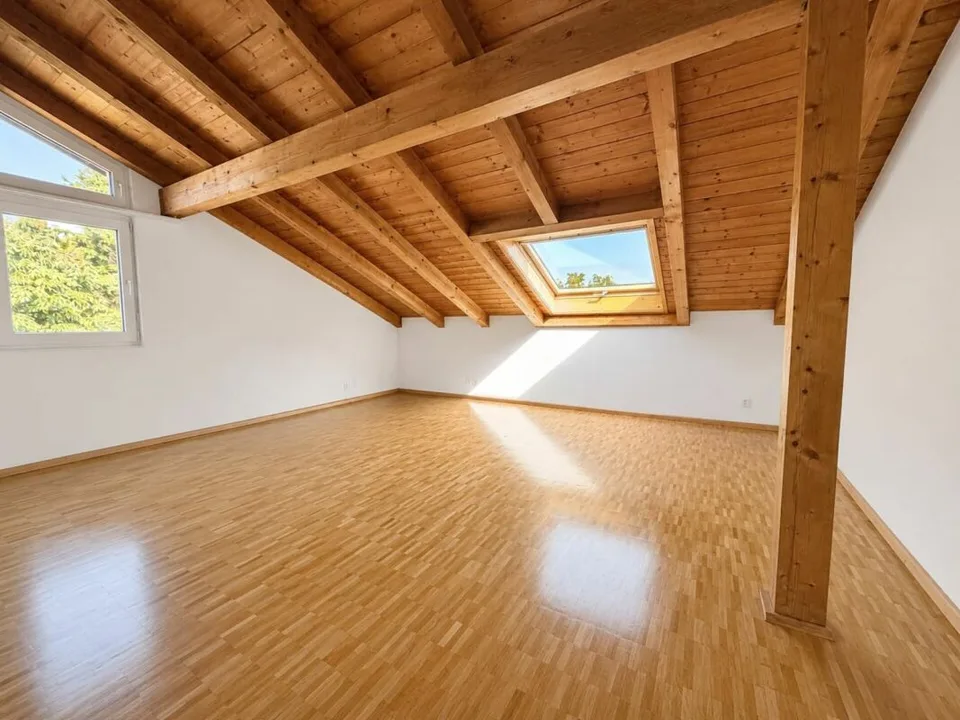 Ampio appartamento di 3 locali in mansarda con torre di lavaggio privata