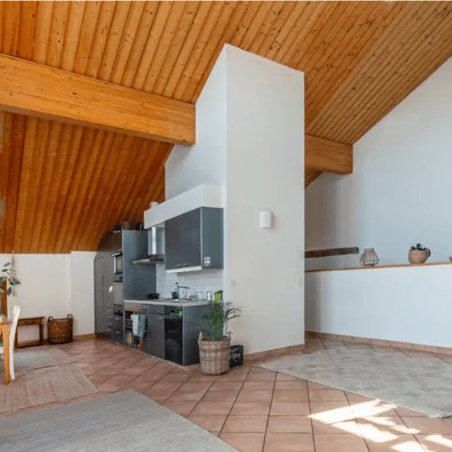 Charming 4-room apartment in Laconnex –