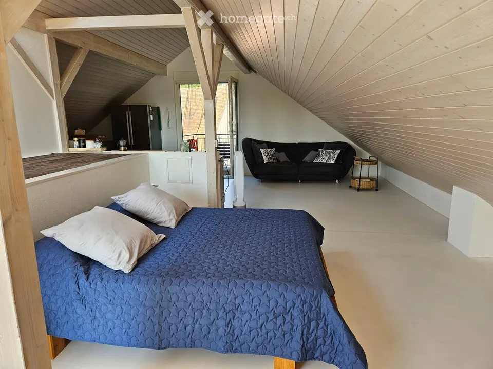 Charming Furnished Attic Studio — Oberglatt